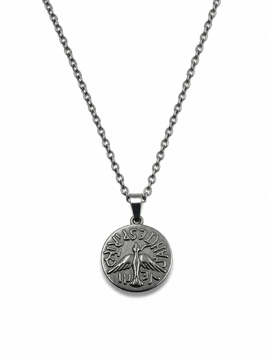Cadena con Medalla Espíritu Santo en Acero 20 mm
